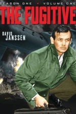 Watch The Fugitive Xmovies8